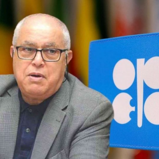 Pétrole : l&rsquo;Opep+ maintiennent l&rsquo;ajustement de l&rsquo;offre à 0,5 millions de barils par jour