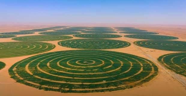 هذه تفاصيل توزيع 122 ألف هكتار للاستصلاح الزراعي في 2025