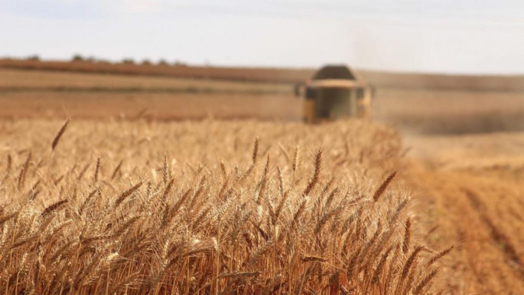 Image agriculture
