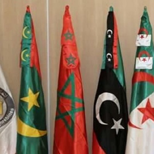 Covid-19 au Maghreb : 846 cas confirmés, dont 41 décès