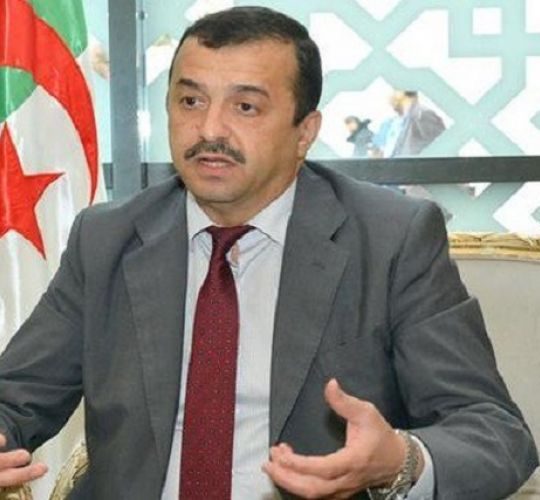 « Les mines algériennes sont capables de fournir plus de 30 matières premières fondamentales » (Arkab)