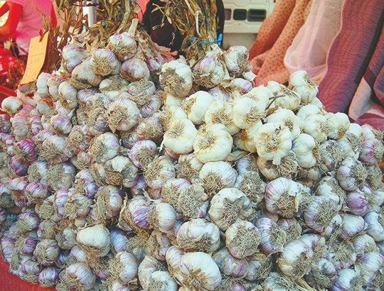 L’Algérie a produit plus de 2 millions de quintaux d’ail en 2019