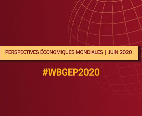 Banque Mondiale : la croissance de l’Algérie dans le rouge en 2020