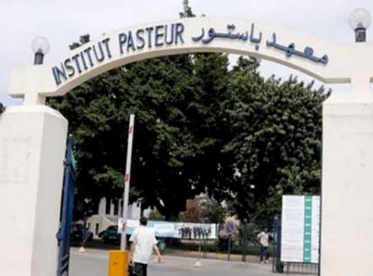 Covid-19: l&rsquo;Institut Pasteur de Tunis annonce un vaccin pour début 2021