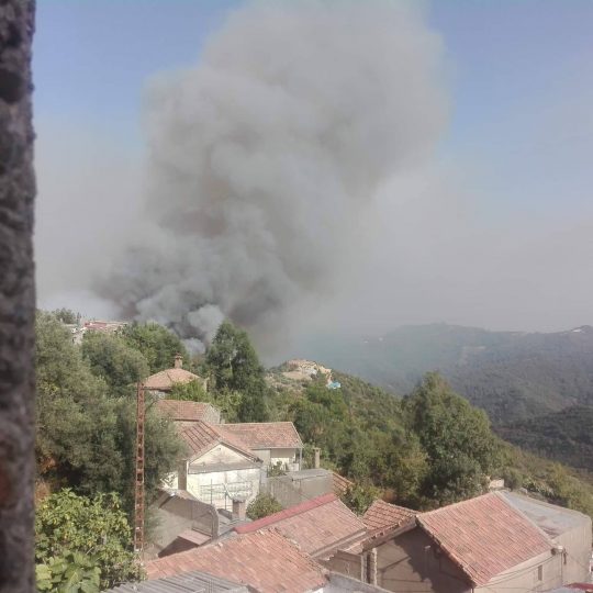 Plus de 20 départs de feux de forêts enregistrés à Bejaia au 1er jour de l’Aid