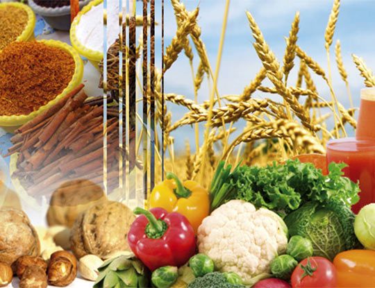 Les prix de plusieurs aliments de base atteignent leur plus haut niveau depuis des mois (FAO)