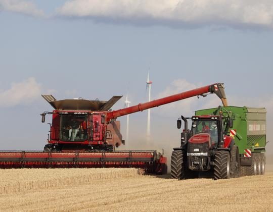 Céréales : l’Algérie de nouveau sur les marchés internationaux