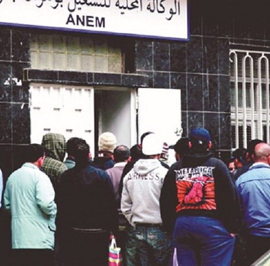 Dispositif d’aide à l’insertion professionnelle: L’Etat s’engage à intégrer 365 000 jeunes