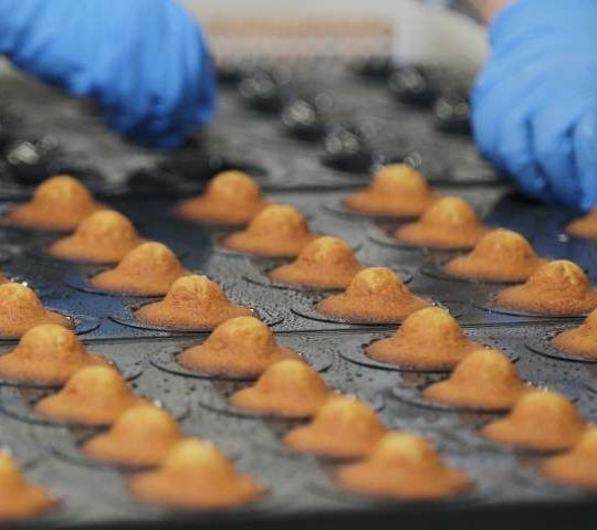 Le fonds AfricInvest pressenti pour entrer au capital de Sobco-Palmary