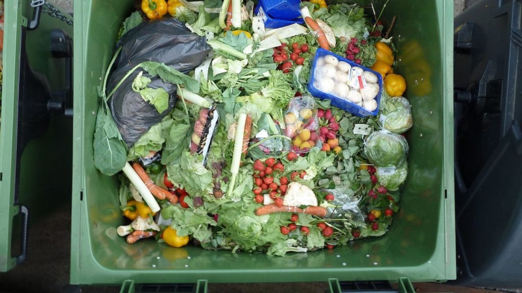 Près de 20% de la nourriture gaspillée chaque année dans le monde (PNUE)