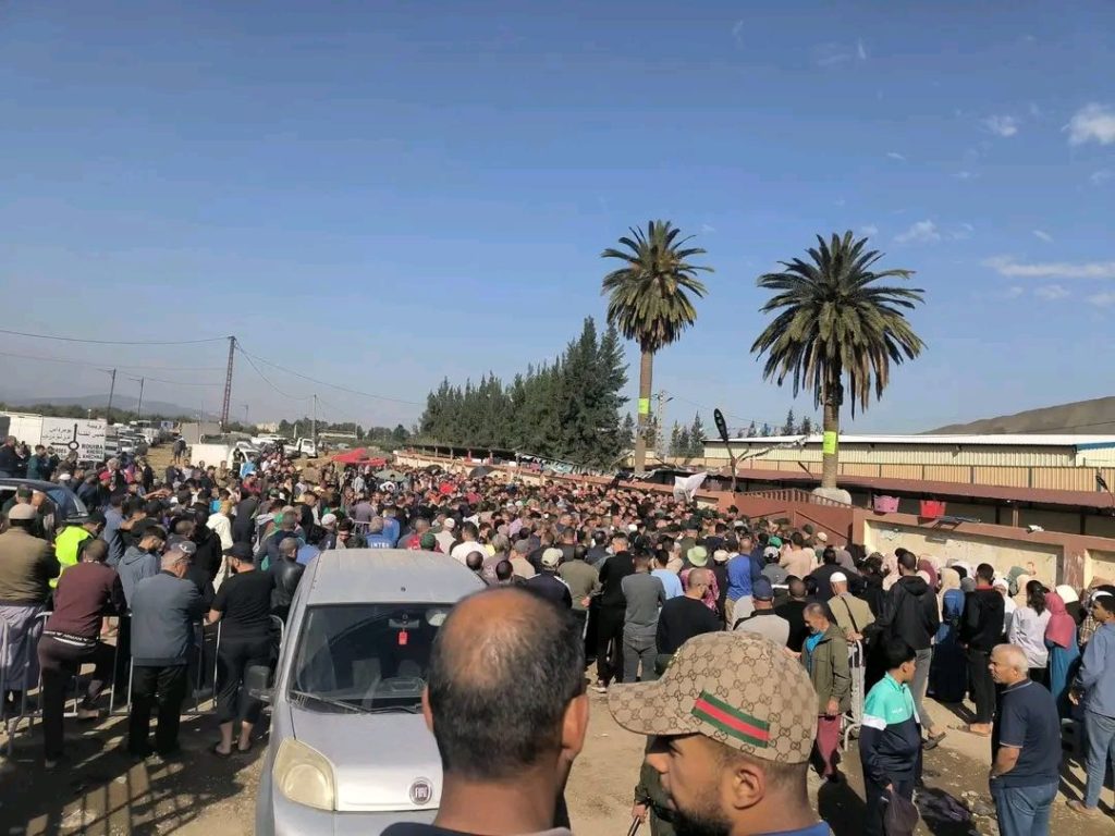 achat de moutons importés