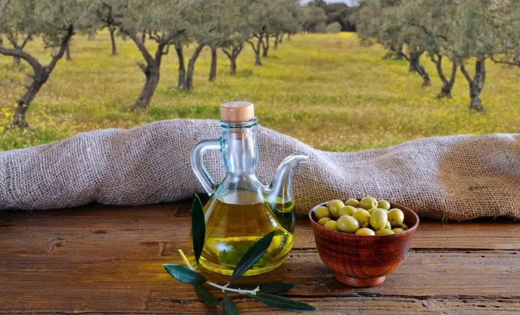 Huile d&rsquo;olive : rebond mondial de la production en 2025