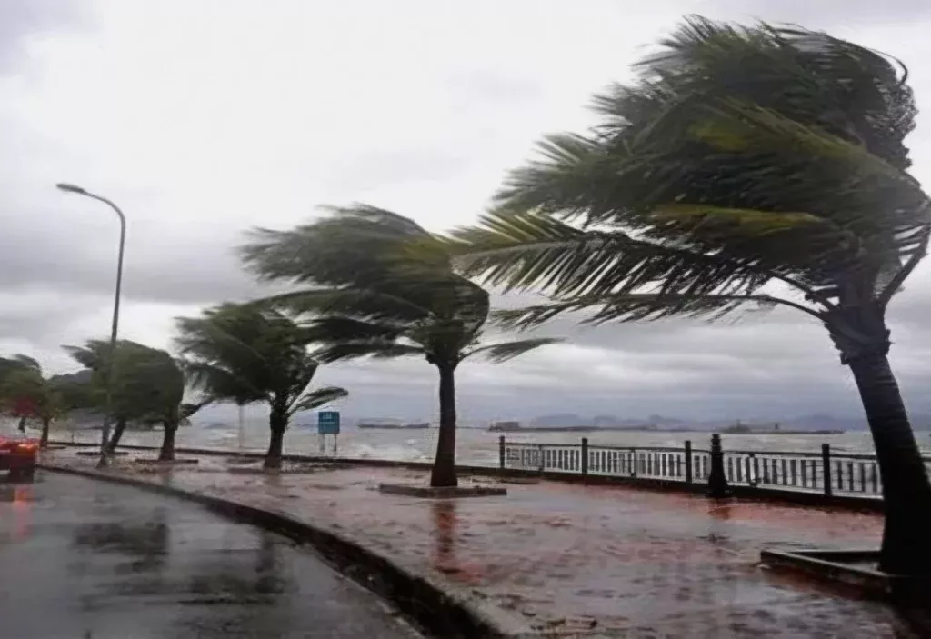 Météo Algérie: une nouvelle vague de mauvais temps attendue dès lundi soir