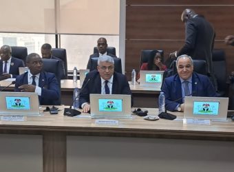 Banque africaine de l&rsquo;énergie : l&rsquo;Algérie avance sur le dossier à Ab...