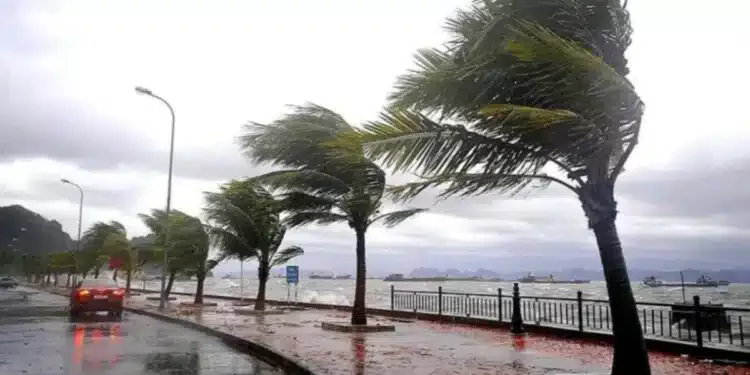 Tunisie : 17 millions de dinars pour réparer les dégâts sur le littoral