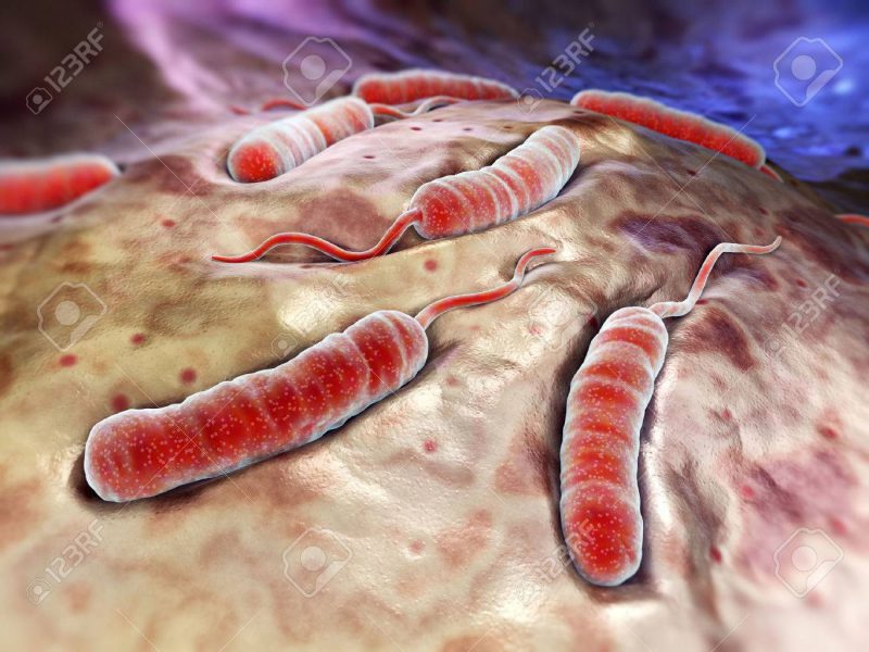 image cholera