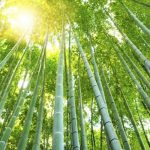 environnement