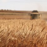 Image agriculture