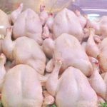 Poulet