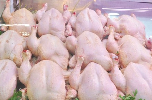 Poulet