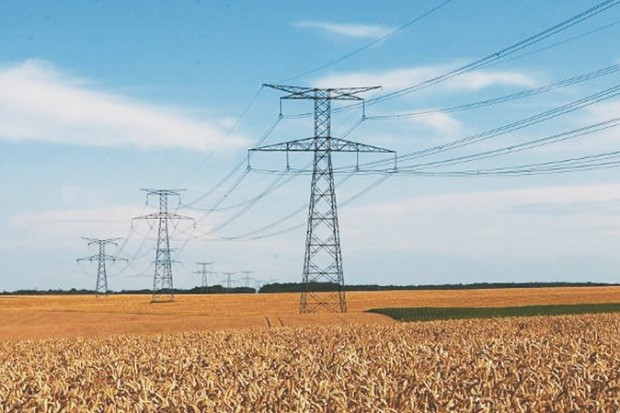 Pylônes électriques traversant un champ agricole en Algérie.