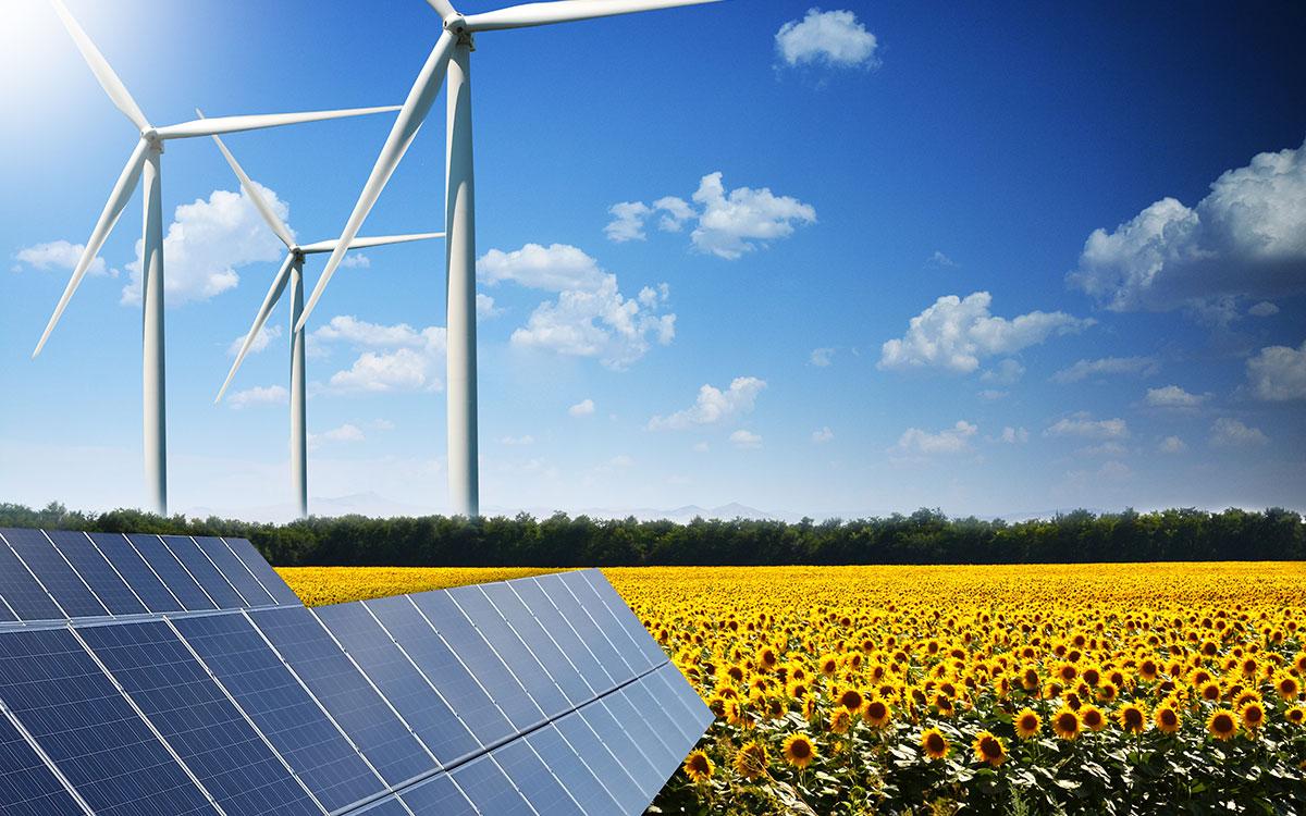 Panneaux solaires photovoltaïques et éoliennes dans un champ de tournesols, énergies renouvelables solaire et éolienne