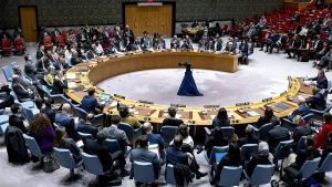 Conseil de Sécurité de l'ONU