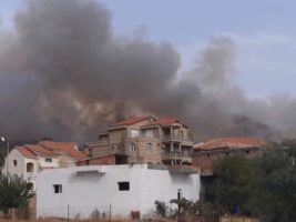 Incendies en Algérie
