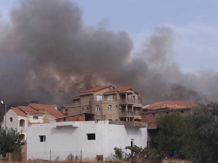 Incendies en Algérie