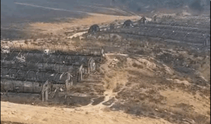 Incendies en Algérie : les maisons et les fermes restent très peu assurées