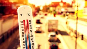 Canicule