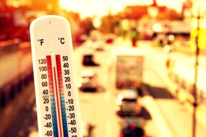 Canicule