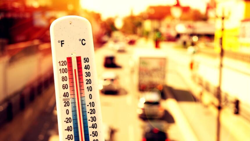 Canicule