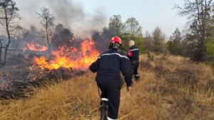 incendies de forêt