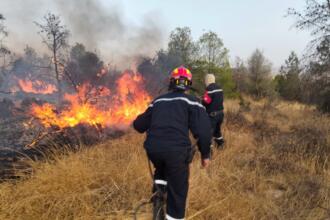 incendies de forêt