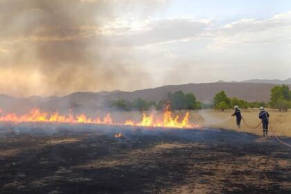 incendies de forêts en Algérie
