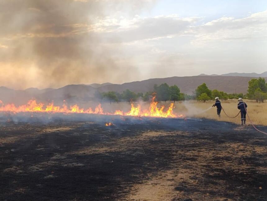 incendies de forêts en Algérie