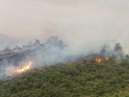 bilan incendies Algérie