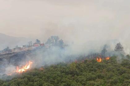bilan incendies Algérie
