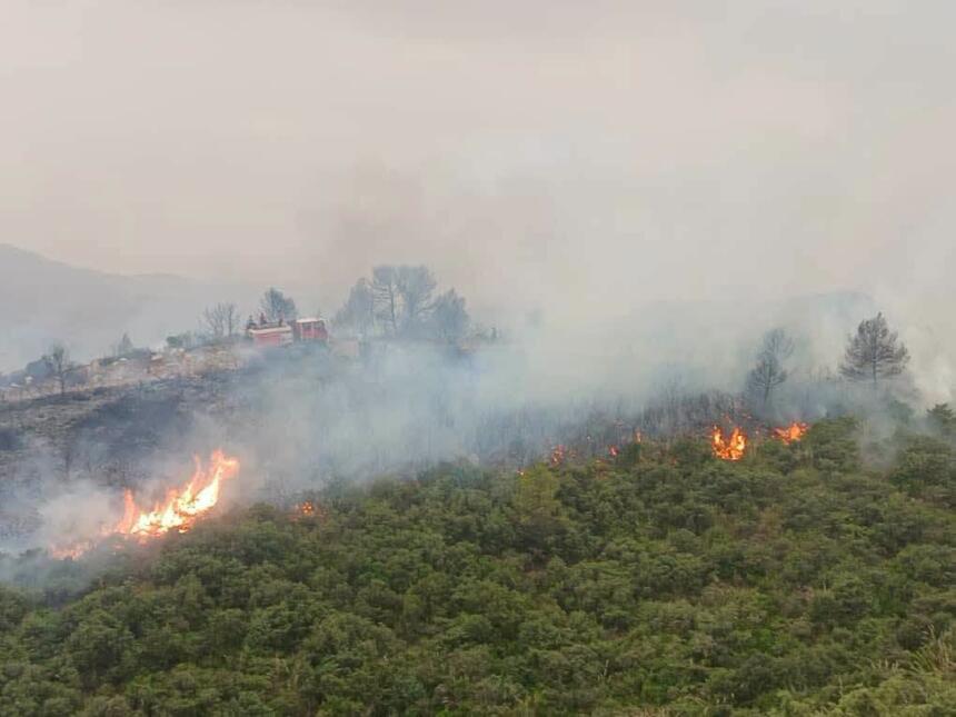 bilan incendies Algérie