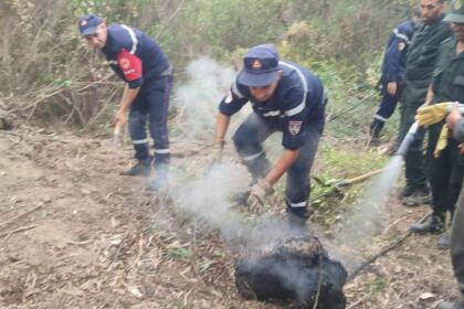 incendies en Algérie