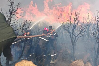 Pompiers de la Protection civile algérienne combattant un feu de forêt à la lance, flammes et arbres calcinés, nord-est de l'Algérie, juillet 2026