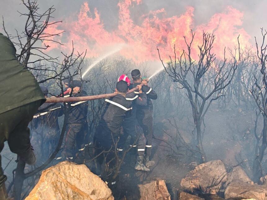 Pompiers de la Protection civile algérienne combattant un feu de forêt à la lance, flammes et arbres calcinés, nord-est de l'Algérie, juillet 2026