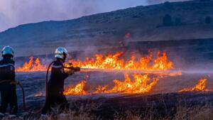 Deux pompiers de la Protection civile algérienne combattent un feu de broussailles au crépuscule, tuyau à la main, sur un versant de colline noirci par les flammes.