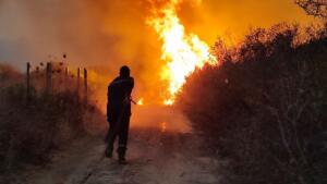 Un sapeur-pompier de face à un mur de flammes lors des incendies de forêt dans l'Est algérien, fin août 2026