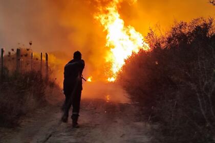 Un sapeur-pompier de face à un mur de flammes lors des incendies de forêt dans l'Est algérien, fin août 2026