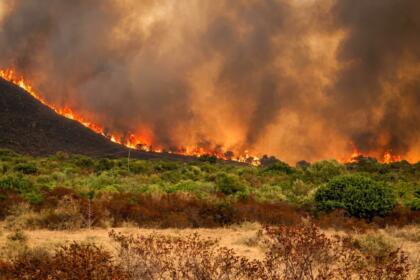 Flammes progressant sur un flanc de colline couvert de maquis méditerranéen, sous un épais panache de fumée