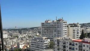 Vue sur des immeubles résidentiels à Alger, illustrant la densité du marché locatif