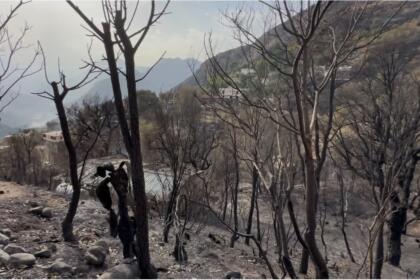 Incendies
