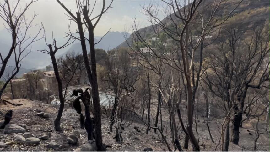 Incendies